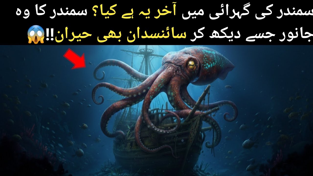 Facts about Gaint Squid 🐙"Most Dangerous Creatures Found in Deep Sea!😱