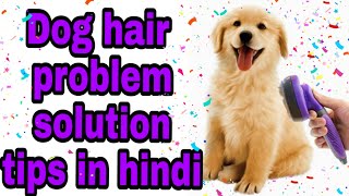 Dog hair fall problem solution tips in ...
