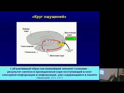 Психофизиология и нейробиология сознания - Шульговский Валерий
