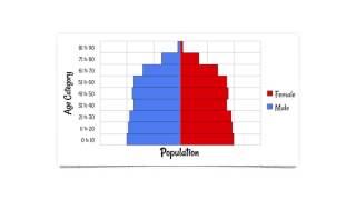 Population Pyramids