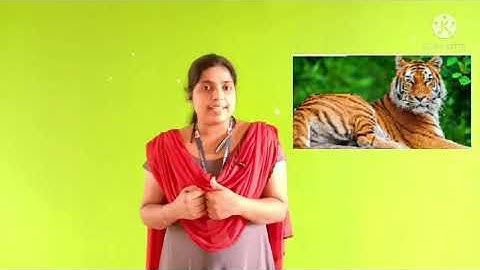 Std 2 English Unit 4 class 30 whiteboard ID