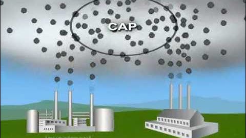 How Cap and Trade Works