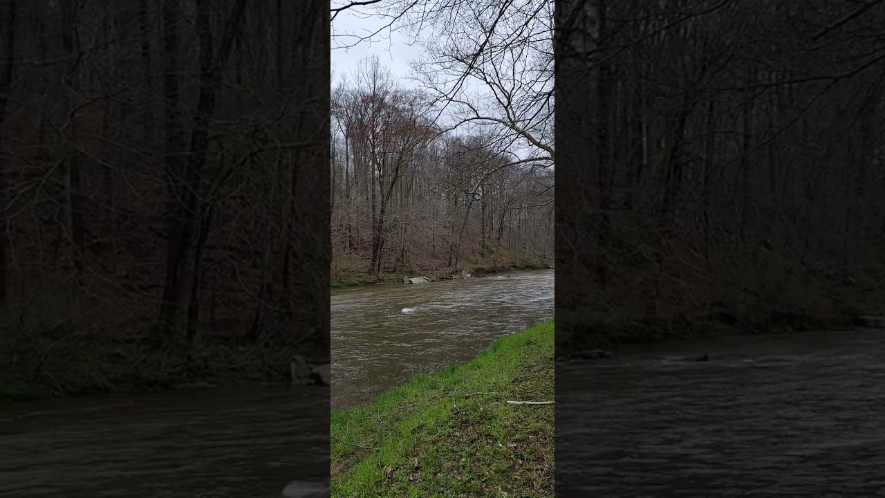 Octorara Creek Spring 2024 2