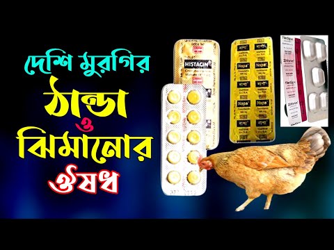 Jinsiy aloqa foto galereyalari