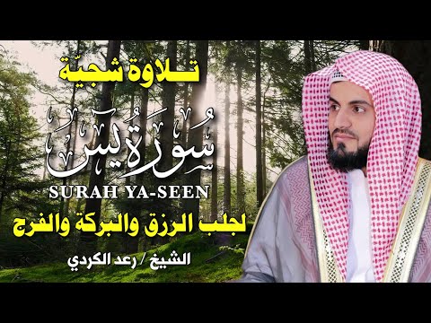 سورة يس بصوت رعد الكردي تلاوة خاشعة تهز القلوب وت ريح النفس