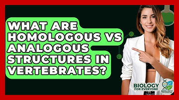 What Are Homologous Vs Analogous Structures In Vertebrates? - Biology For Everyone