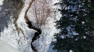 Mr. Poggio - Module 24 (Freshwater and Human Impact)