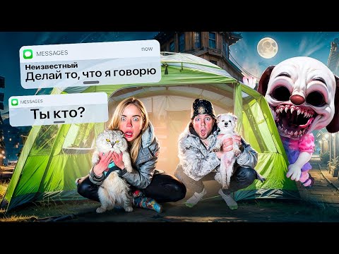 Видео: ГОВОРЯЩАЯ БЕЛЛА В РЕАЛЬНОЙ ЖИЗНИ | 24 ЧАСА ВЫЖИВАЕМ НА УЛИЦЕ С КОТОМ И СОБАКОЙ