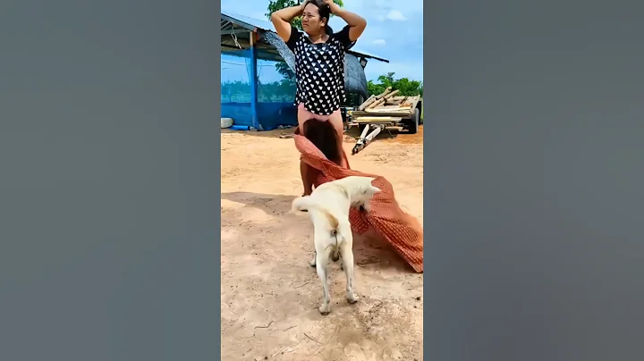 #timelapse Star to finish alone build log cabin (wooden house) how to build wooden cabin surviva