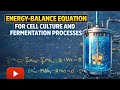 Lecture - 7 Energy balance equation for cell culture and fermentation process,Bioprocess engineering