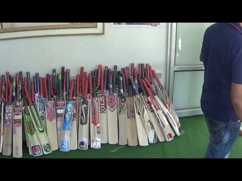 What are cricket bats made of?