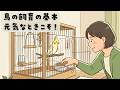 【飼育の基本】元気に見える今こそ、暮らしを点検しよう（EP.194）