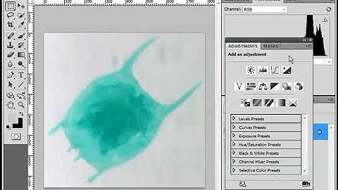 028 Tonal Adjustment Gamma for Microscope Images