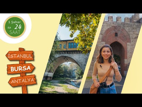 Video: Bursa Nədir?