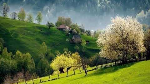 (بل الله فاعبد و كن من الشاكرين ) تلاوة من سورة الزمر