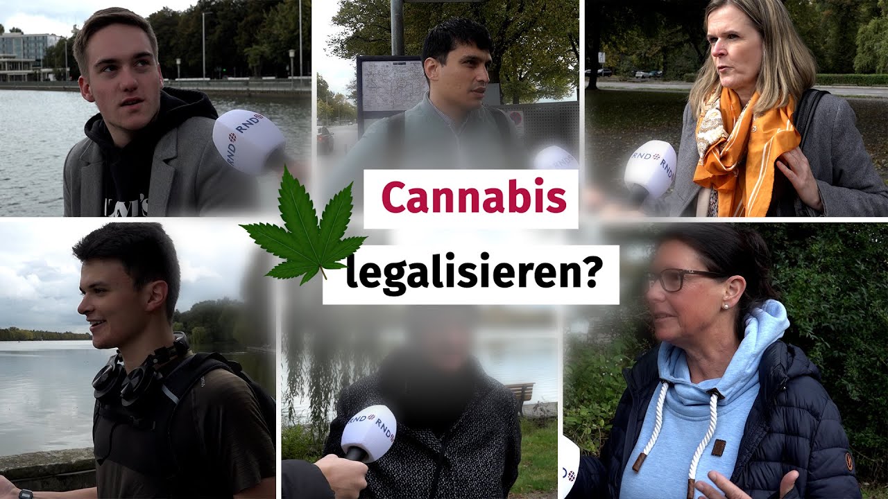 Umfrage: Cannabis-Legalisierung sinnvoll oder nicht?
