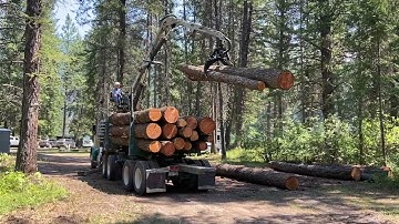 Self Loader loading our logs