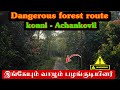 Dangerous konni to achankovil forest route  kerala forest and tribes