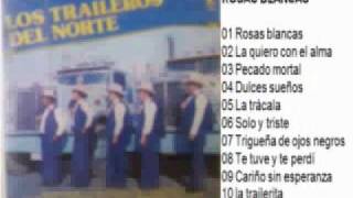 Solo y triste (Traileros del Norte)