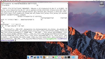The cat command on linux