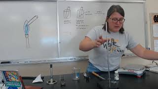 Percent Composition Lab