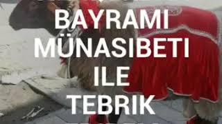 Qurban Bayramina Aid Video