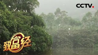 《致富经》倾尽千万家产 打造心中的“桃花源” 20200331 | CCTV农业
