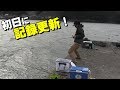 九州に上陸したら初日に過去最高の記録が出た！！Asian sheepshead wrasse fishing