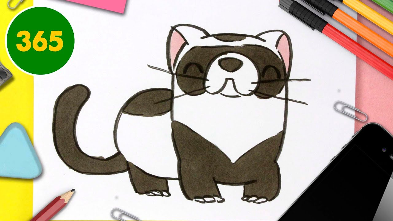 HOW TO DRAW A CUTE FERRET KAWAII - YouTube