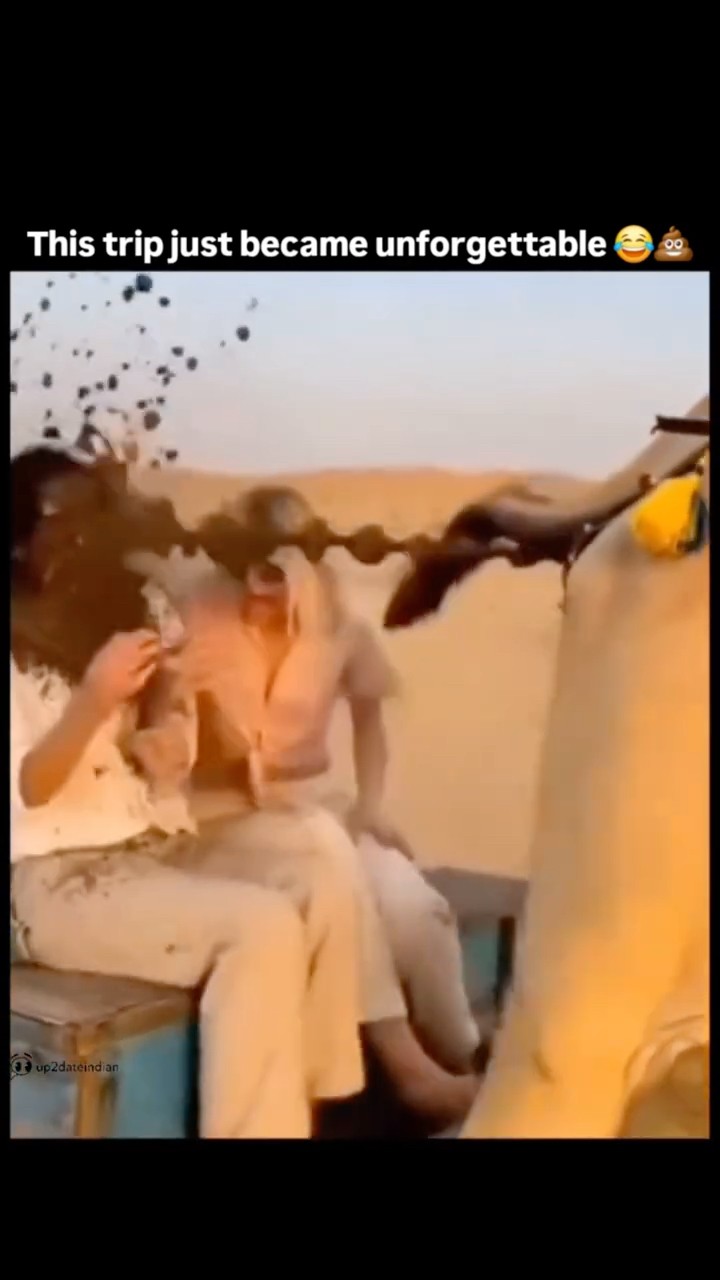 😆ಫನ್ನಿ ಸ್ಟೇಟಸ್ - ShareChat