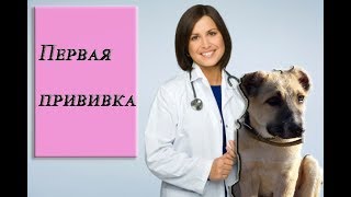 Наша первая прививка