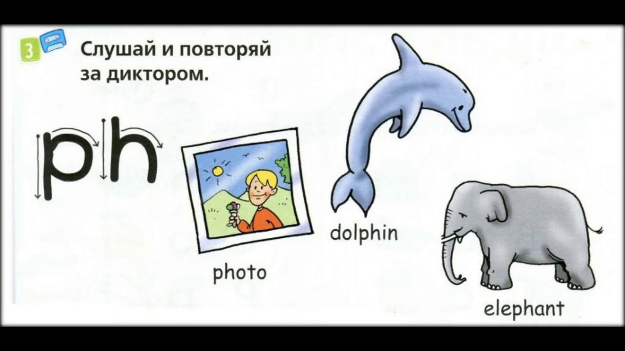 Elephant перевод с английского. Letters Blends 2 класс Spotlight. Spotlight картинки. Буквосочетание PH В английском языке. Карточки по английскому языку Дельфин.