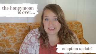 Adoption Update 2 | Adopting Siblings From Foster Care