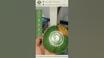 5"inch sal pata wrinkle paper plate by Leafze products #paperplates #disposableplate #leafze 35