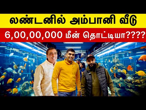 லண்டன் மீன்கள் பண்ணை | London Fish Aquatic | kolathur fish market | Tamil Vlog | London Tamil Bro