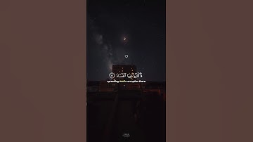 تلاوة خاشعة من كتاب الله