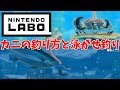 【ニンテンドーラボ】カニの釣り方と泳がせ釣りの方法！まさかの展開にびっくり！