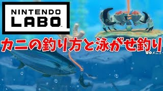 ニンテンドーラボ カニの釣り方と泳がせ釣りの方法 まさかの展開にびっくり Youtube ニンテンドーラボ カニの釣り方と泳がせ釣りの方法 まさかの展開にびっくり Youtube