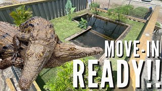 Medium Sized Croc Ponds Are Done! | World Class Crocodile Facility In Florida | Primitive Predators