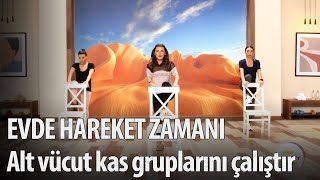 Evde Hareket Zamanı 25. Bölüm - Üst vücut kas gruplarını aktif tutuyoruz