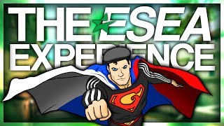 THE ESEA EXPERIENCE