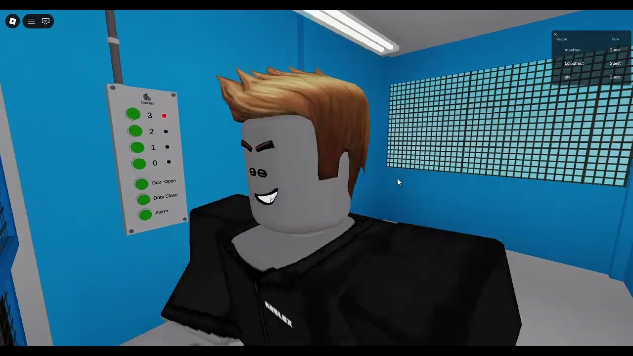 Luxiar elevator roblox