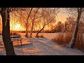 Winter Relaxing Piano Music - Best Sleeping Music - Soothing Calming Music For Meditation & Yoga
