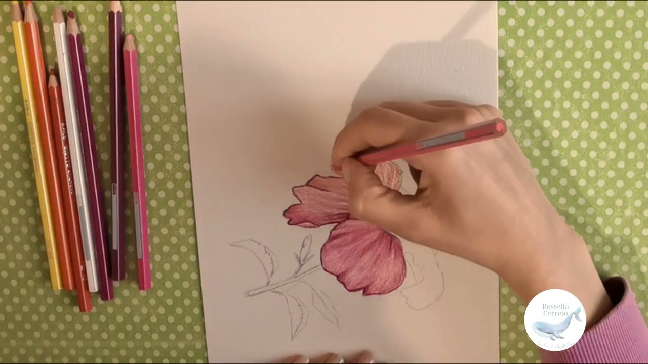 Illustrare i fiori con le matite colorate