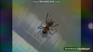 Iklan Bagus Kapur Ajaib 2004 Revisi 2007-2008 @NHK TV