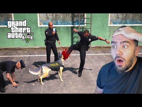 TÜRK POLIS KÖPEGINE IŞKENCE YAPIYORLAR OYUNDA - GTA 5 MODS