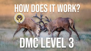 Deer Management Certificate Level 3 Qualification Launches in the UK
