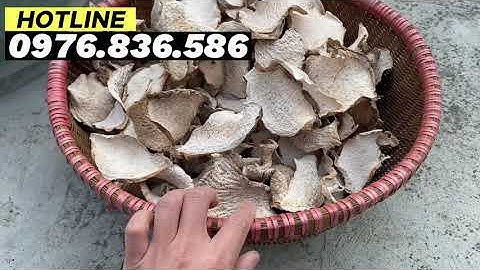 Cây ráy (BẠC HÀ NÚI )chữa bệnh gì? Nên dùng như thế nào mới hiệu quả? DƯỢC LIỆU TỐT