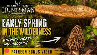 Early Spring In The Wilderness | Patreon Bonus Video | Link In Description