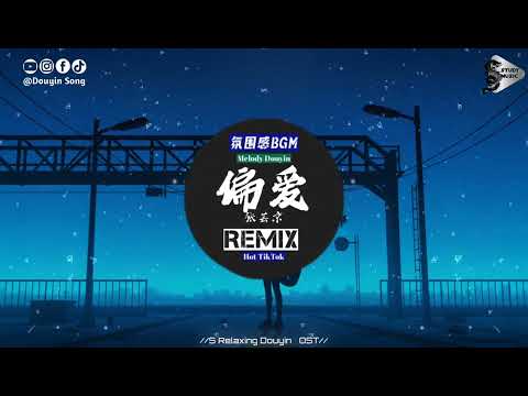 张芸京 - 偏爱 (抖音DJ版)『把昨天都作废现在你在我眼前，我想爱请给我机会。』【動態歌詞｜Vietsub｜Pinyin Lyrics】